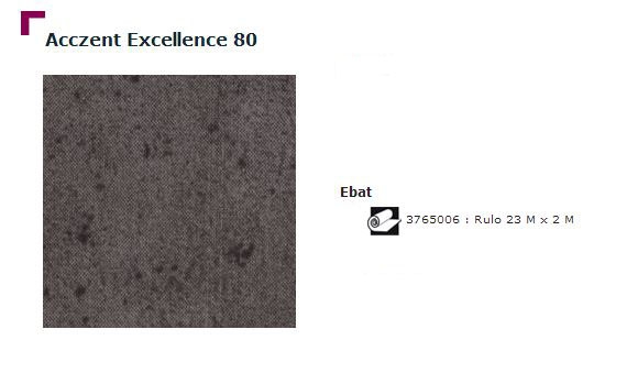 Accezent Exellence 80