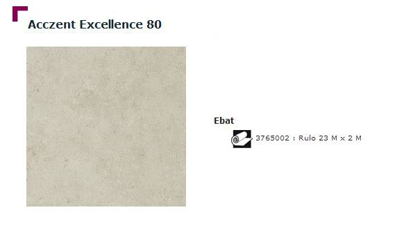 Accezent Exellence 80