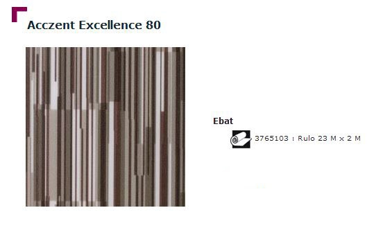 Accezent Exellence 80