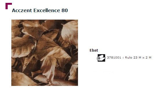 Accezent Exellence 80