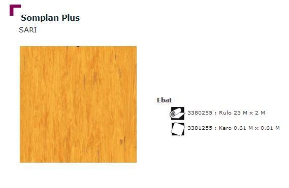 Somplan Plus